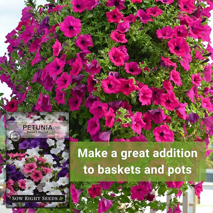Sow Right Seeds - Dwarf Mixed Petunia Seeds to Plant - Full instructions for Planting and Growing a Flower Garden - Non-GMO Heirloom Seeds - Annual Hanging Basket Flower - Wonderful Gardening Gift (4)