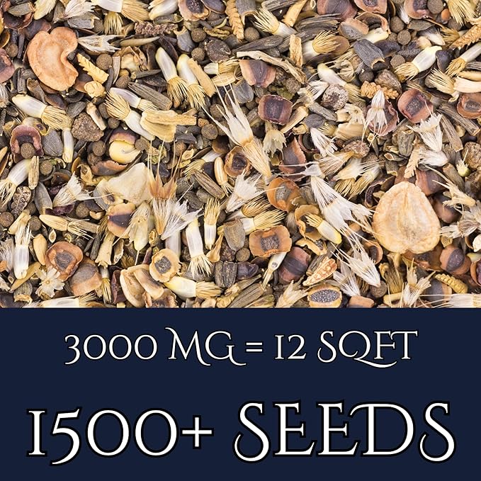 Low Growing Wildflower Mix (Seed Packet) Sprinkle a Little Magic—Our Shade, Perennial, Hummingbird, Deer-Resistant, and Other mixes Bring Vibrant Color and pollinator Joy to Any Space.