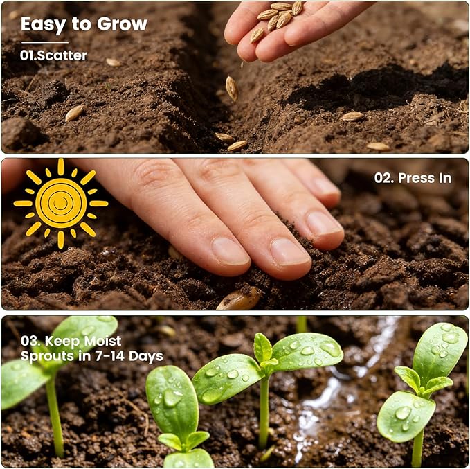 German Chamomile Seeds for Planting - 10,000+ Non-GMO Heirloom Seeds (Matricaria chamomilla), Homegrown Herbal Tea, Attracts Pollinators, Self-Seeding, USDA Zones 4-9, Medicinal Herb