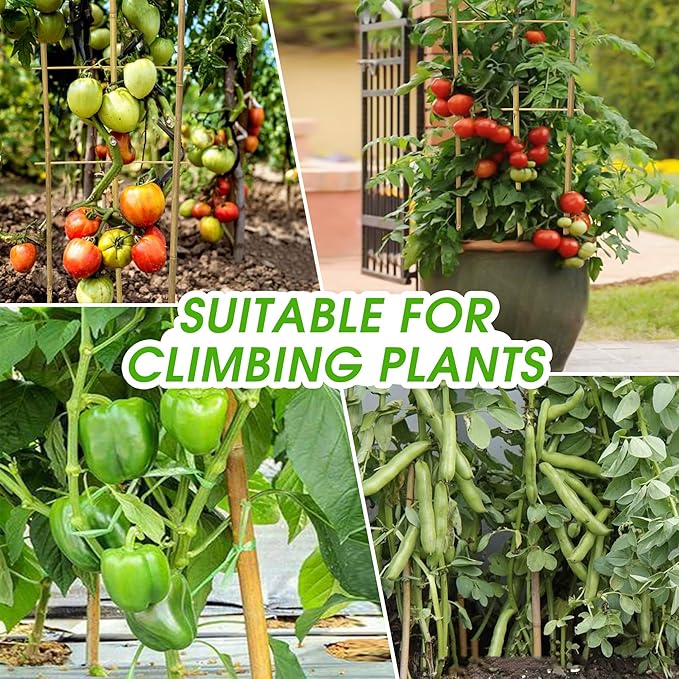 3 Pack Natural Bamboo Trellis 4.8 Ft, Fan-Shape Garden Ladder Plant Trellis for Climbing Plants, Vegetables, Cucumber, Tomato, Potted Plants