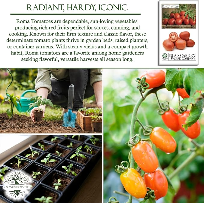 Roma Heirloom Tomato Seeds for Planting – 300+ Non-GMO Seeds, Botanical Name: Solanum lycopersicum, 90% Germination Rate, Classic Paste Tomato for Sauces & Canning, by Isla’s Garden Seeds, Gift Idea