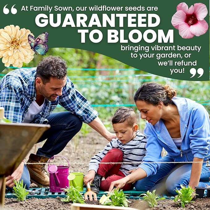Shade Tolerant Mix – 14,000 Wildflower Seeds for Pollinator Gardens – 2026 Season – 1 Ounce Pouch