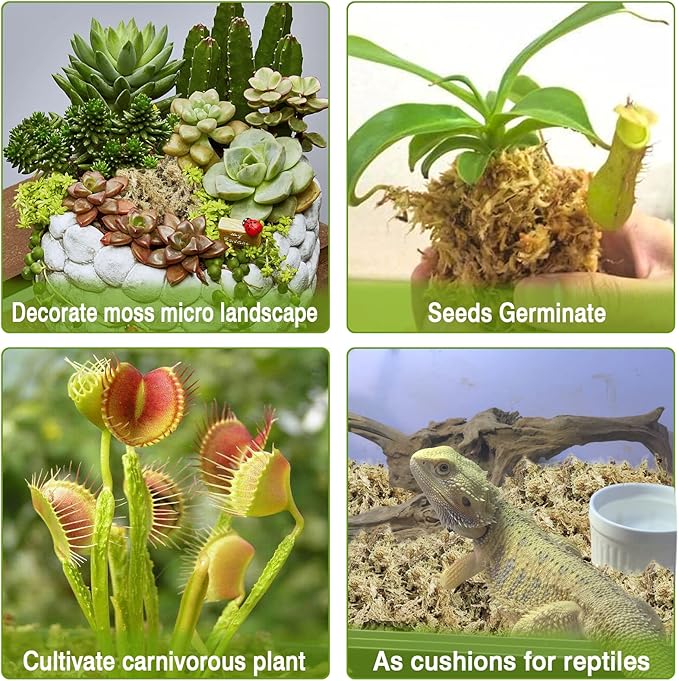 Legigo 7OZ Premium Sphagnum Moss for Plants- 8QT Natural Succulent Carnivorous Plant Moss Dried, Long Fiber Orchid Moss for Orchid Repotting Succulent Sarracenia Potted Plants Gardening and Reptiles