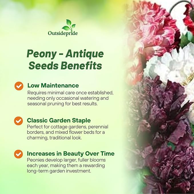 Outsidepride Peony Antique Poppy Seeds for Planting - 10,000 Pcs Annual, Drought-Tolerant & Easy to Grow Wildflower Seeds with Vibrant Mix Blooms for Landscaping, & Pollinator Garden