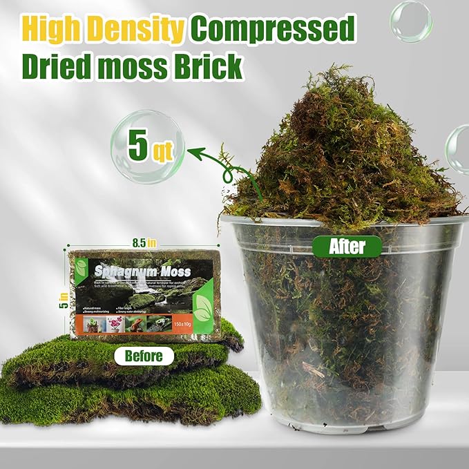 Dried Forest Moss for Plants (15 qt / 3 pcs), Sphagnum Potting Moss for Various Plants, Including Orchids, Carnivorous Plants, Succulents, Garden Flowers, and Reptiles