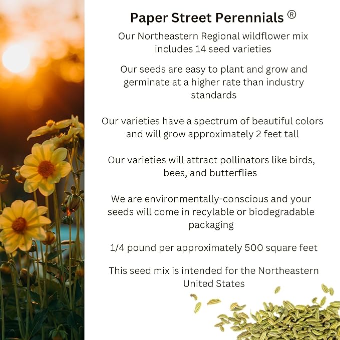 Northeast Regional Bulk Perennial Wildflower Seed Mix 1lb Covers 2,000sq-ft - Attract Pollinators, Multi-Color Blooms - Northeast US Species Plant in Spring/Fall - Earth-Friendly Packaging (1 Pound)