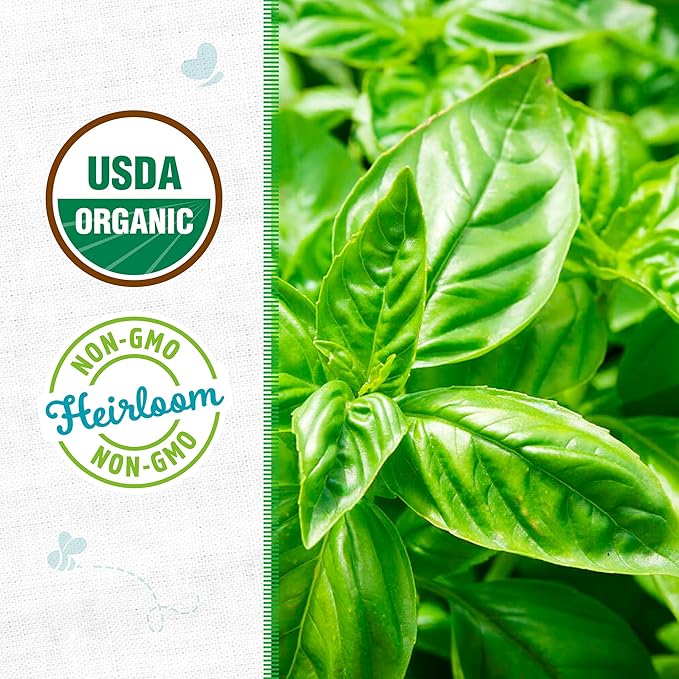 Back to The Roots 100% Organic Heirloom Seeds - Basil Value Pack (600mg Total)