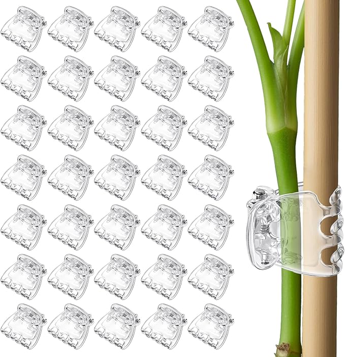 50pcs Orchid Clips for Plants Support, Transparent Plant Orchid Clips 6 Claws for Indoor and Outdoor Plants Plastic Butterfly Plant Support Structures for Garden Vine Stem