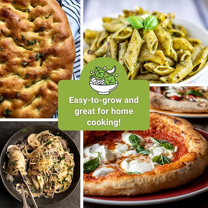 Sow Right Seeds - Italian Herb Garden Seed Collection for Planting - Basil, Oregano, Parsley, Sage, and Thyme - Non-GMO Heirloom Packet with Instructions to Grow a Kitchen Garden Indoors or Outdoors