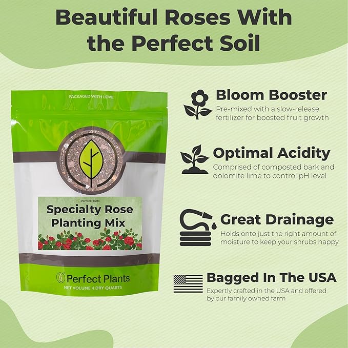 Specialty Rose Planting Mix by Perfect Plants | Premium Nutrients for Flowering Roses Such as Drift, Knockout, and Heirloom (4qt)