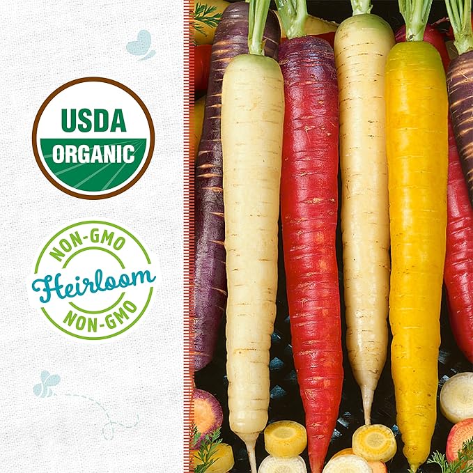 Back to The Roots 100% Organic Seed Packet - Carrot 'Rainbow Blend'