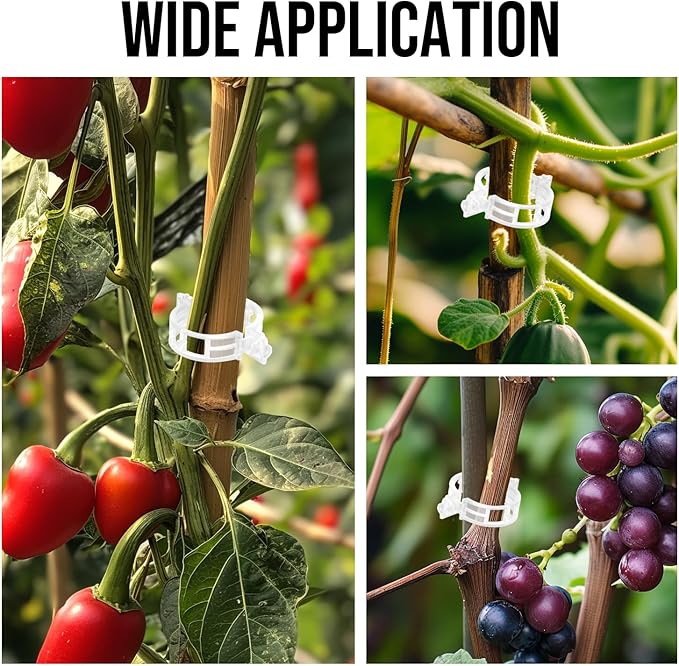 Plant Support Clips Plastic Tomato Clips Plant Clips for Climbing Plants Clear Grape Tomato Vine Trellis Clips for Garden Vegetables Plants Flower Grow Fixing (100, White)