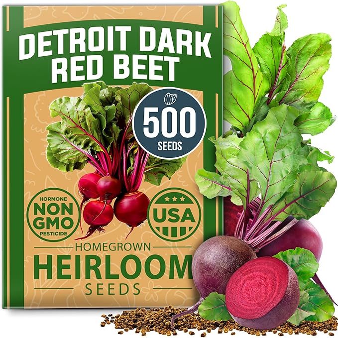 Root Vegetable Seed Variety Pack – Over 8,600 Non-GMO USA Heirloom Seeds: Arugula, Tendersweet Carrots, Detroit Dark Red Beets & Cherry Belle Radish – Fast Growing for Spring & Fall Gardens