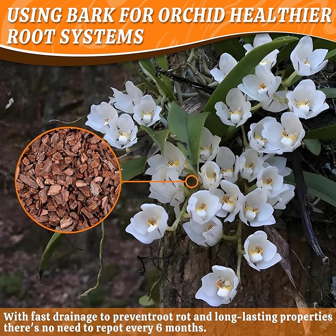 AVALUTION Orchid Potting Bark-18QT Organic Orchid Bark for Plants, All Natural Pine Bark Wood Chips for Houseplant Mulch, Orchid Plants Root Development, Mulch for Potted Plants