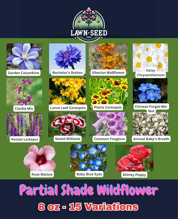 Partial Shade Wildflower Mix (8oz) Sprinkle a Little Magic—Our Shade, Perennial, Hummingbird, Deer-Resistant, and Other mixes Bring Vibrant Color and pollinator Joy to Any Space.
