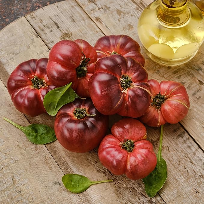 Back to The Roots 100% Organic Heirloom Seeds - Brandywine Tomato Value Pack (200mg Total)