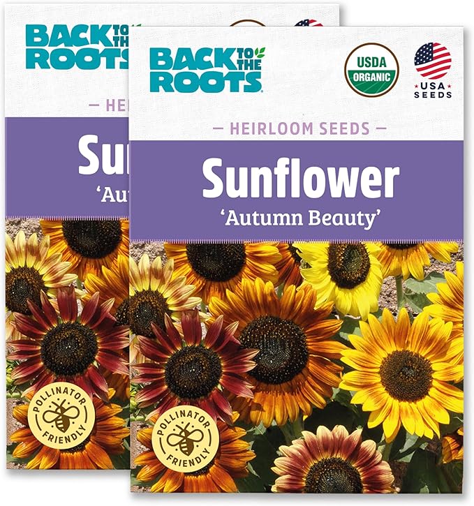 Back to The Roots 100% Organic Heirloom Seeds - Sunflower 'Helianthus' Value Pack (1.4g Total)