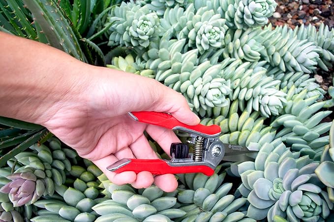 Corona Tools FS43623 Yard Essentials Mini Floral Snips, Red