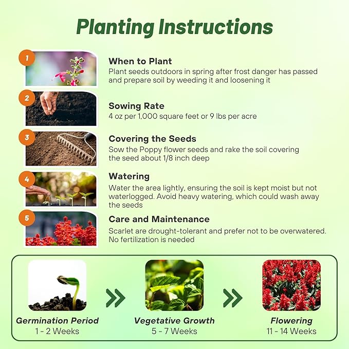 Outsidepride Salvia Coccinea Scarlet Sage Seeds for Planting - 5 Lbs. Perennial, Heat-Tolerant Wildflower Seeds w/Red Blooms, Attracts Hummingbirds & Butterflies for Pollinator-Friendly Gardens