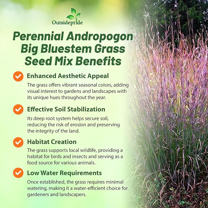 Outsidepride Perennial Andropogon Big Bluestem Grass Seed - 25 lbs. Warm Season, Drought Resistant, Native Prairie Grass Seed, Ideal for Erosion Control, Ornamental Landscaping & Wildlife Gardens