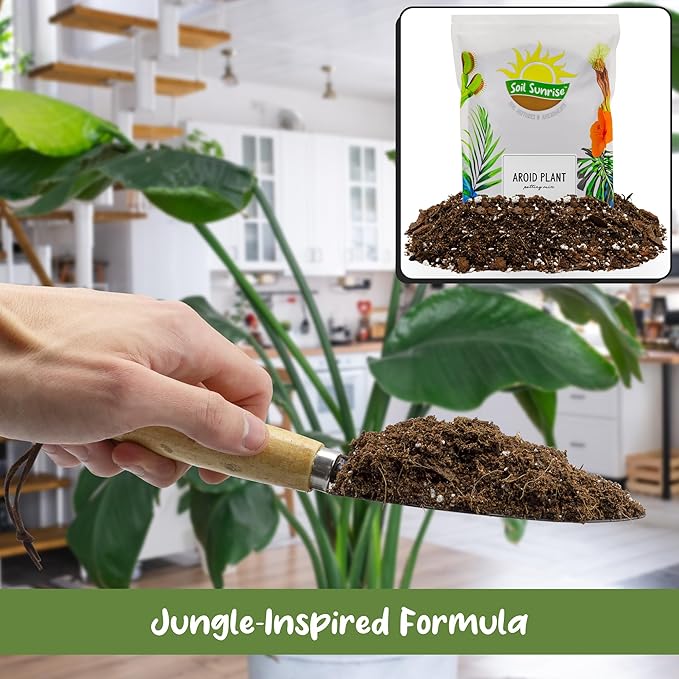Soil Sunrise Aroid Plant Potting Soil Mix (8 Quarts) for Pothos Devil's Ivy, ZZ Plant, Chinese Evergreen, Dumb Cane Philodendron, Syngonium, Alocasia, Colocasia Etc.