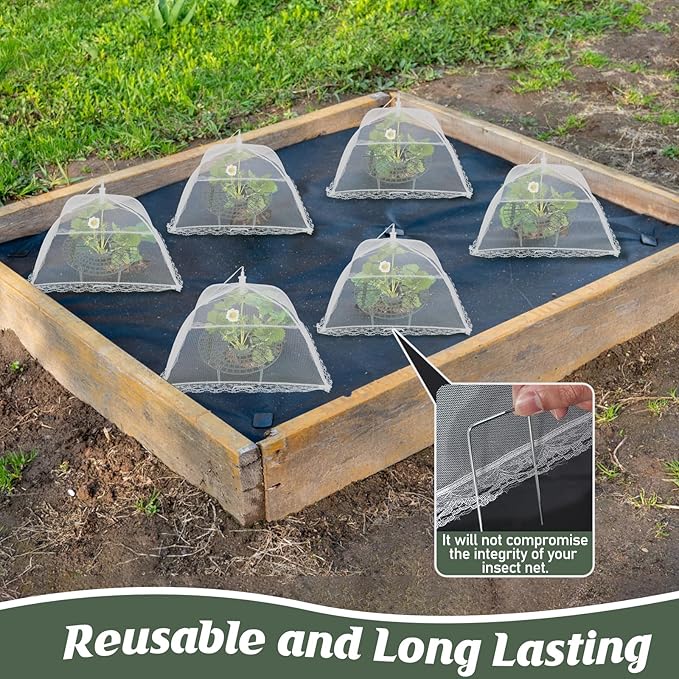 6 Sets Strawberry Plant Support with Mesh Plant Cover,Strawberry Growing Racks Sets with Iron Plant Nails and Storage Bag for Garden Strawberry Vegetables(White Net - Round)