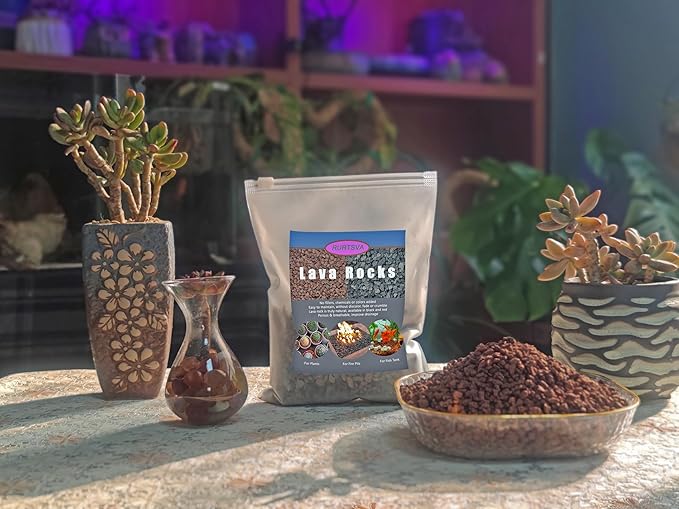 Lava Rocks for Plants, 2lbs Volcanic Stones Gravel Horticultural Drainage Potting Soil for Indoor Outdoor Plants, Succulents, Bonsai, Cactus, Vase Fillers, Top Dressing (Red, 2lbs)