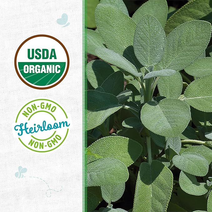 Back to The Roots 100% Organic Heirloom Seeds - Sage Value Pack (280mg Total)