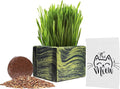 Cali Kiwi Pros Cat Grass for Indoor Cats - Best Value Organic Cat Grass Starter kit, USA Made Cedar Planter, Organic Wheatgrass Seed and Soil in a Gift Box (Mossy Green)