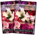 Sow Right Seeds - Mammoth Mix Sweet Pea Seeds for Planting - Beautiful Flowers to Plant in Your Garden - Non-GMO Heirloom Packet - Fragrant Colorful Blooms for Bouquets - Wonderful Gardening Gift (2)