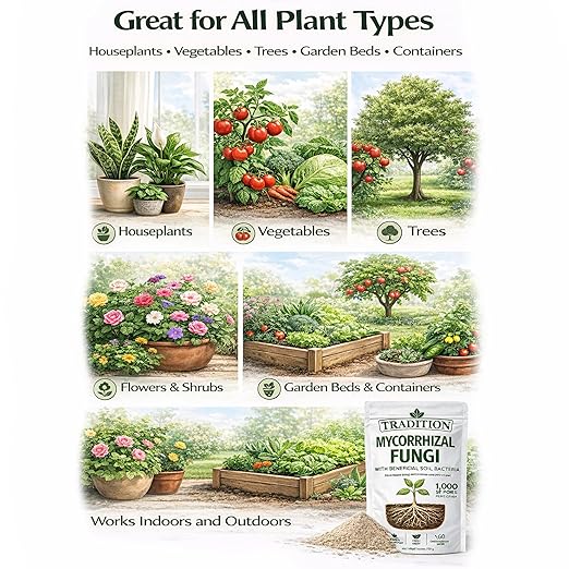 Tradition Mycorrhizal Fungi with Beneficial Soil Bacteria – 1,000 Spores per Gram – Water Soluble Root Inoculant for Houseplants, Vegetables, Trees & Garden Soil – 4 oz