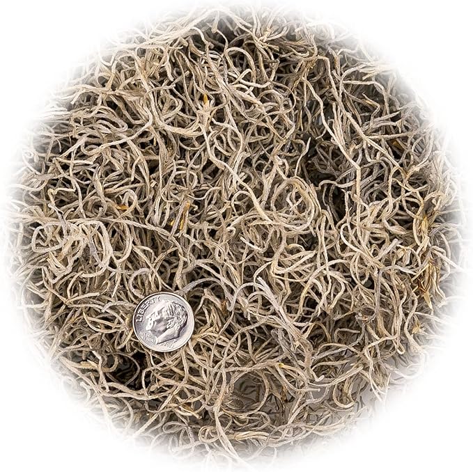 Gardenera Premium Natural Spanish Moss | Natural Preserved - Great Ground Cover - Filler for Potted Plants - 4 Quart Bag