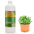 𝐏𝐑𝐎𝐅𝐄𝐒𝐒𝐈𝐎𝐍𝐀𝐋 Liquid Silica Plant Supplement - 32oz - Jade Plants Liquid Silica Boost Fertilizer - Stronger Stems & Healthy Leaves for Indoor & Outdoor Jade Plants (Makes 180 Gallons)