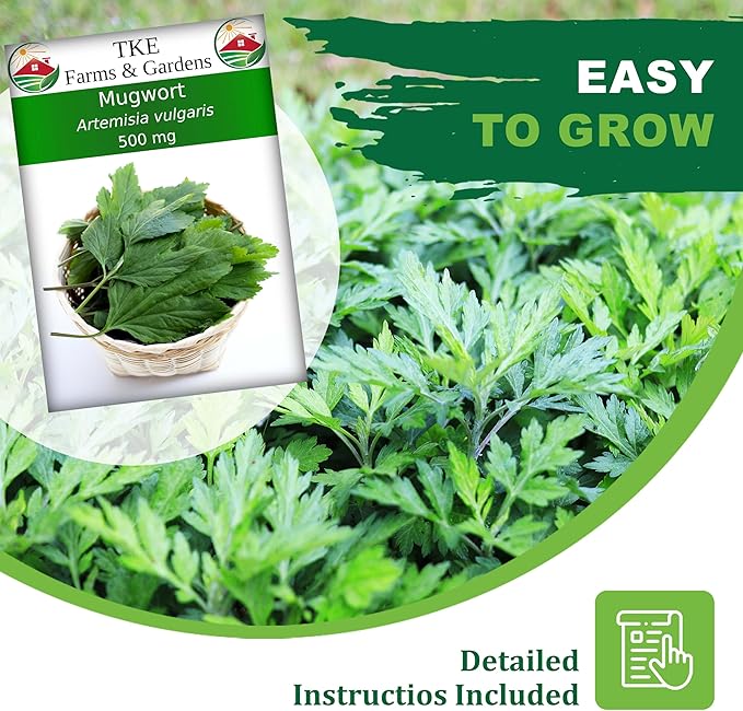 TKE Farms & Gardens - Mugwort Seeds for Planting, 500 mg Packet, 4000+ Non-GMO Heirloom Herb Seeds, Fast-Growing Perennial Herb, Includes Easy Planting Instructions