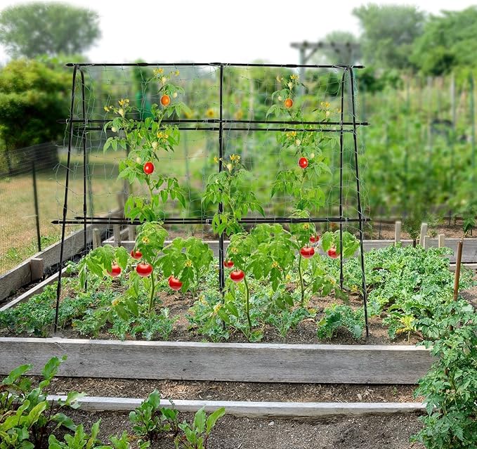 Garden Trellis for Climbing Plants Outdoor, 5.3x5.3ft Garden Trellis Climbing Plant Support Plastic-Coated Metal U-Shaped Vine Vegetables Tomato Cucumber Trellis Raised Bed, with Netting, Black
