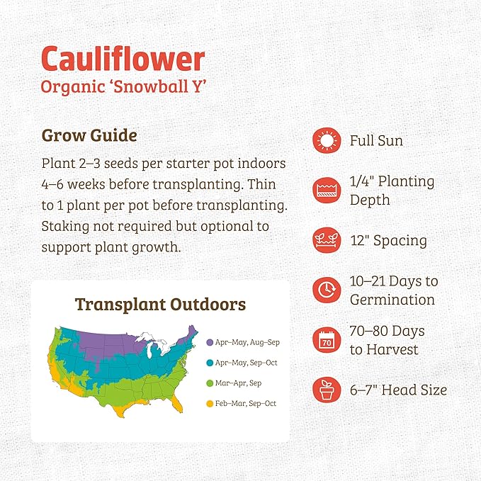 Back to The Roots 100% Organic Seed Packet - Cauliflower 'Snowball Y' 500mg