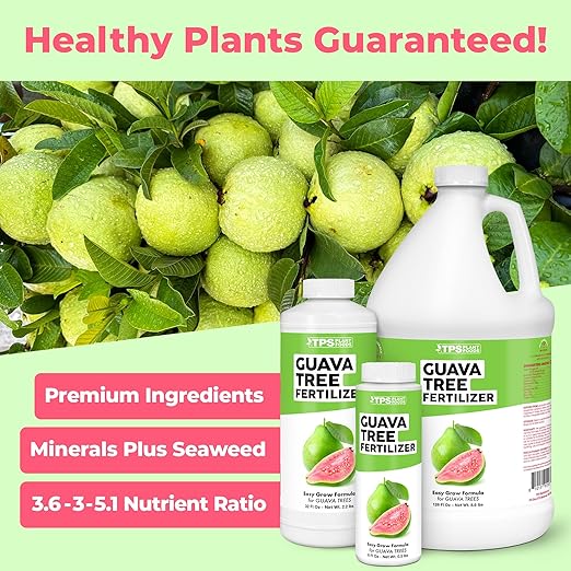 Guava Tree Fertilizer – Liquid Plant Food for More Fruit, Better Flowering & Stronger Root Development, 8 oz