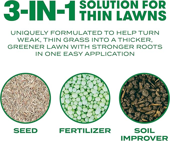 Scotts Turf Builder Thick'R Lawn Southern Gold Blend for Tall Fescue Lawns, Grass Seed, Fertilizer, and Soil Improver, 12 lb.