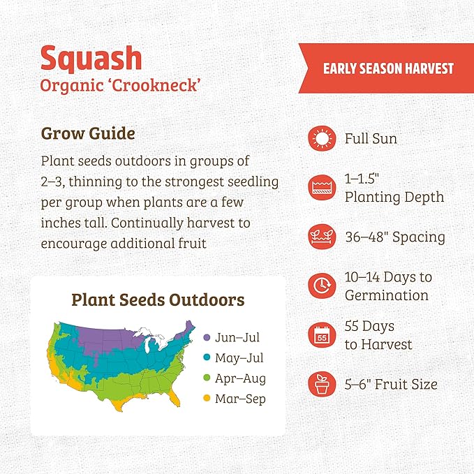 Back to The Roots 100% Organic Seed Packet - Squash 'Crookneck' 2g