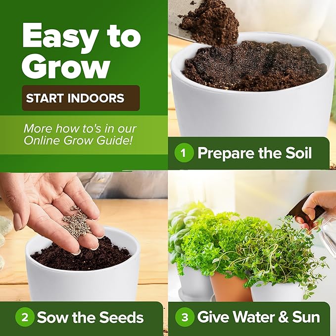 HOME GROWN Italian Basil Seeds 1,424+ & 30 Herb Seeds Pack 9,500+ – 𝗡𝗢𝗡-𝗚𝗠𝗢 USA Heirloom Seeds for Indoor/Outdoor Planting – Perfect for Culinary & Hydroponic Gardens