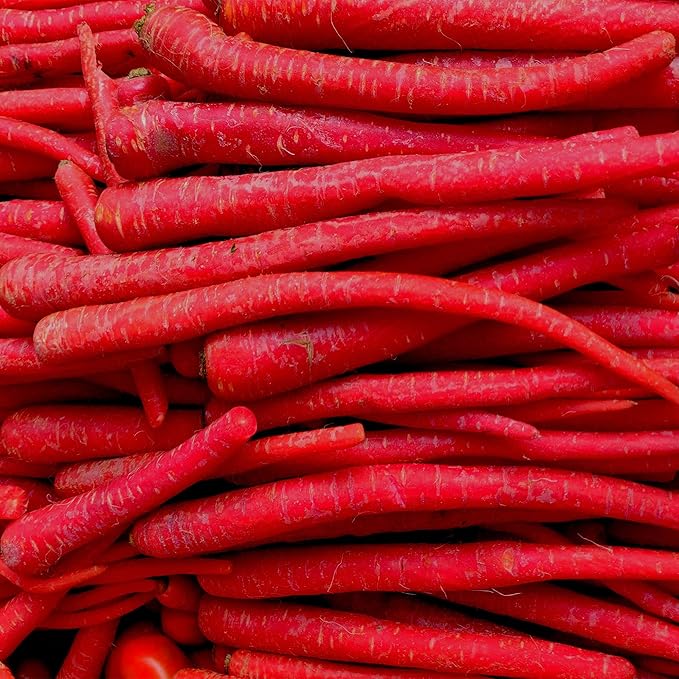 Carrot Seeds - Kyoto Red - 1 Oz ~25000 Seeds - Non-GMO, Heirloom - Asian Garden Vegetable