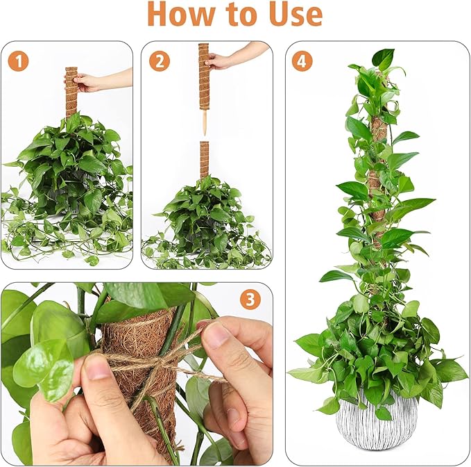 JJGoo Moss Pole for Plants Monstera,【6 Pack】 17 inch Plant Support Pole, Extendable Coir Totem Pole for Potted Plants Pothos, Train Indoor Climbing Plants to Grow Upwards