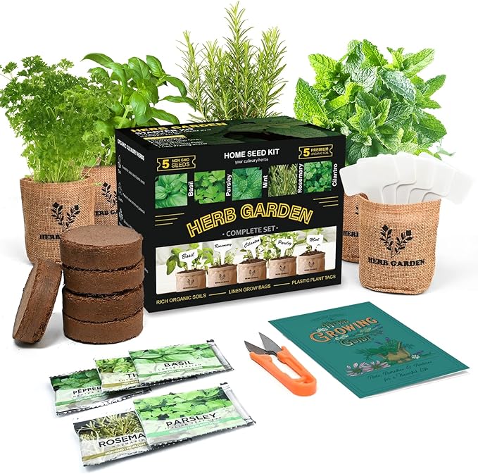 Indoor Herb Garden Starter Kit, 5 Non-GMO Herb Seeds - Basil, Parsley, Rosemary, Thyme, and Mint with Complete Planting Set for Kitchen Herb Garden DIY