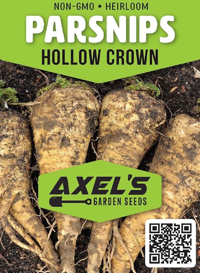 Parsnip Seeds for Planting - 100 Heirloom Non GMO Seeds - Plant & Grow Hollow Crown Parsnip Seeds in Your Home Outdoor Vegetable Garden - Full Planting Packets with Full Instructions, 3 Packets