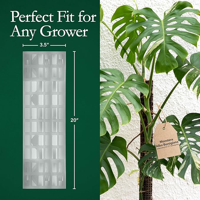 THICCLY V2 GrowPole Large 5 Pcs - Front Opening Clear Moss Poles for Climbing Plants, D-Shaped Moss Pole for Monstera Plant Support Plant Climbing Pole, Plastic Plant Pole Support for Philodendron