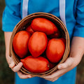 Amish Paste Tomato - 50 Seeds - Heirloom Amish Tomato Variety, Super for Sauce & Canning, USA-Grown, Non-GMO Heirloom Tomato Seeds for Planting Outdoors in The Home Garden, Thresh Seed Company