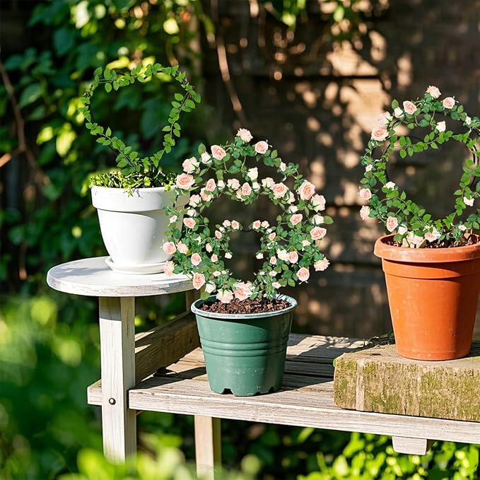 Hoya Trellis 3 Size Indoor Plants Flower Support Stakes Round or Heart Metal Trellis Set Garden Tool Accessories for Small Potted Vine Climbing Houseplants (BlackCH)