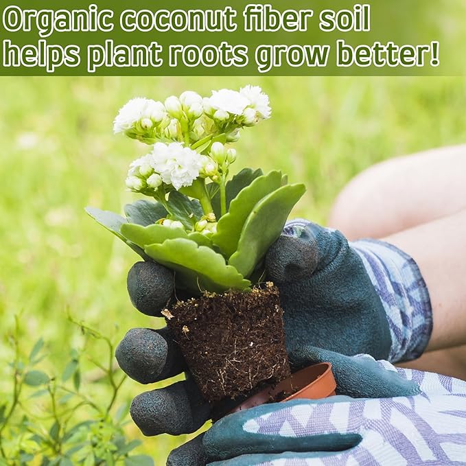 Halatool 50pcs Organic Coconut Coir Pellets Soil for Seed Starter, 30mm Compressed Coco Coir Potting Soil for Growing Vegetables, Fruits, Flowers
