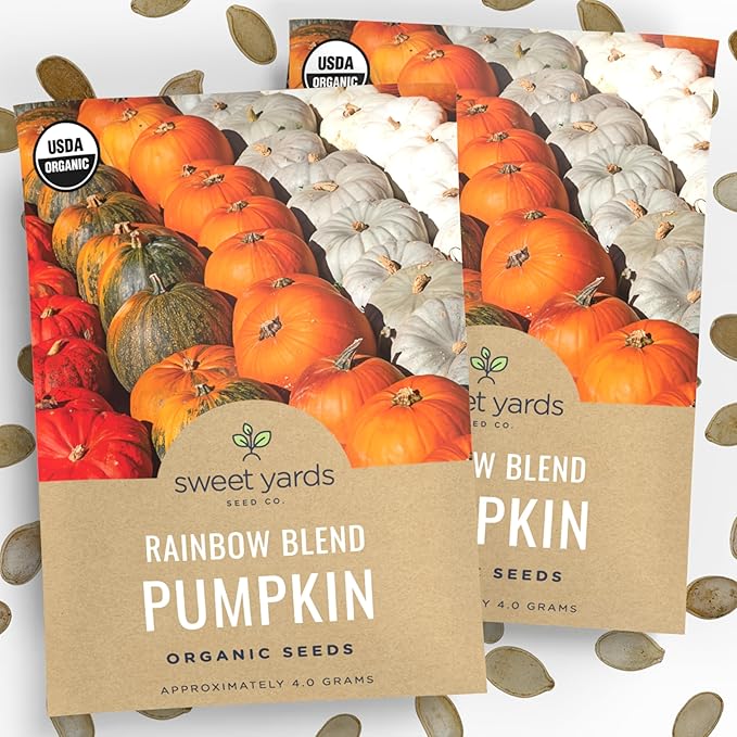 Organic Rainbow Blend Pumpkin Seeds – Two Seed Packets! Over 15 Open Pollinated Non-GMO Seeds – Sweet Yards Seed Co.