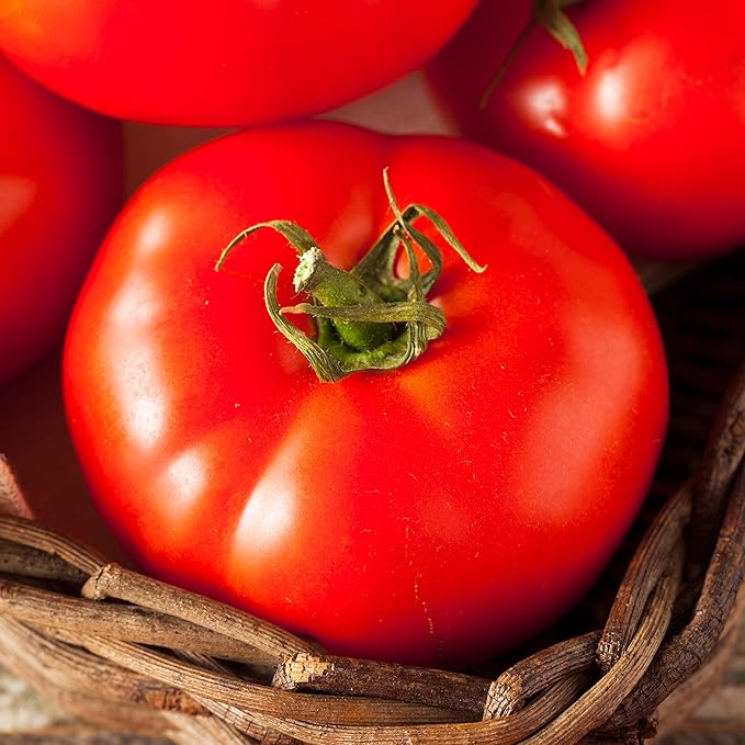 Organic Tomato Seeds (Ponderosa Red Beefsteak) - Approx 75 Seeds - USDA Organic, Non-GMO, Open Pollinated, Heirloom, USA Origin